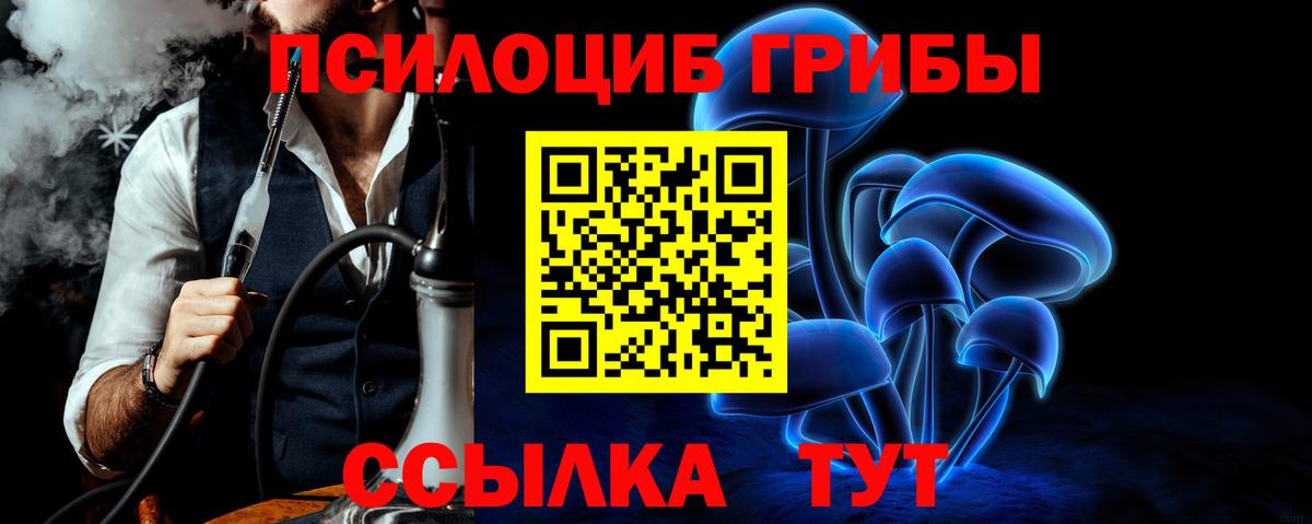 Псилоцибиновые грибы Cubensis  магазин продажи наркотиков  Елизово  Галлюциногенные грибы Magic Shrooms  Вход с VPN 