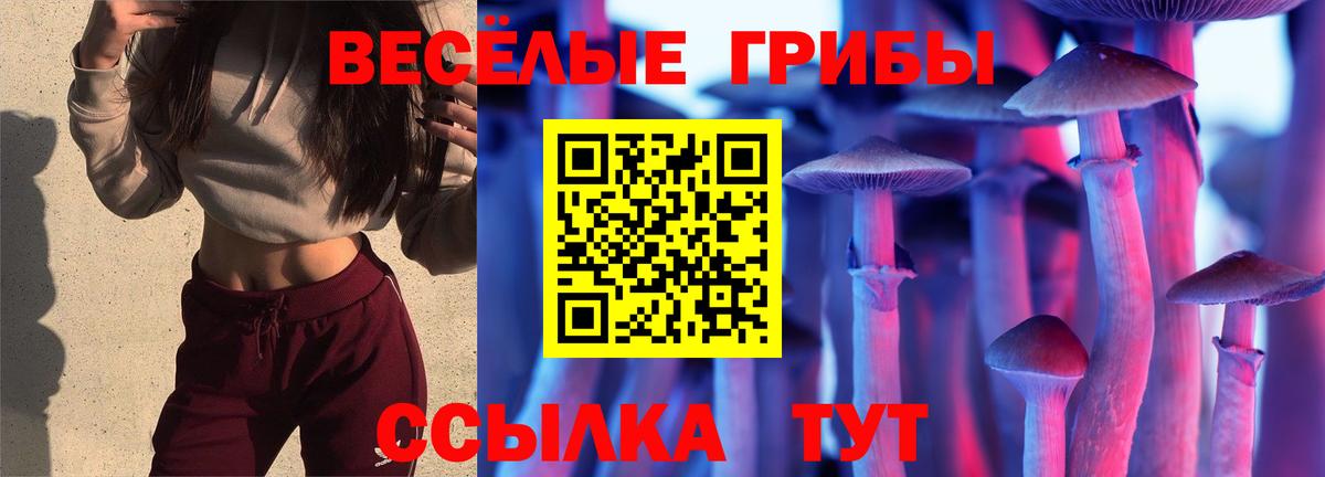 Псилоцибиновые грибы мицелий Елизово
